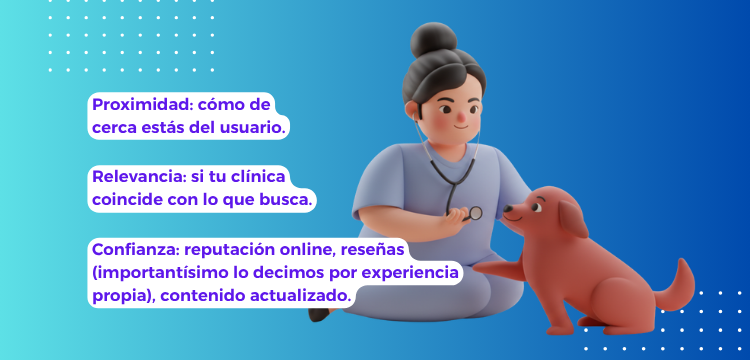 SEO local para clínicas veterinarias: urgencias, localización y canal de chat